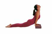 Yoga Blokk og Belte*
